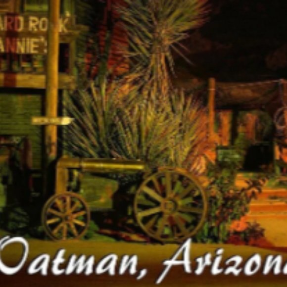 Reduced Rare Opportunity, Own A Nice Lot In Historic Oatman Arizona! Financing - Picture 6 of 12